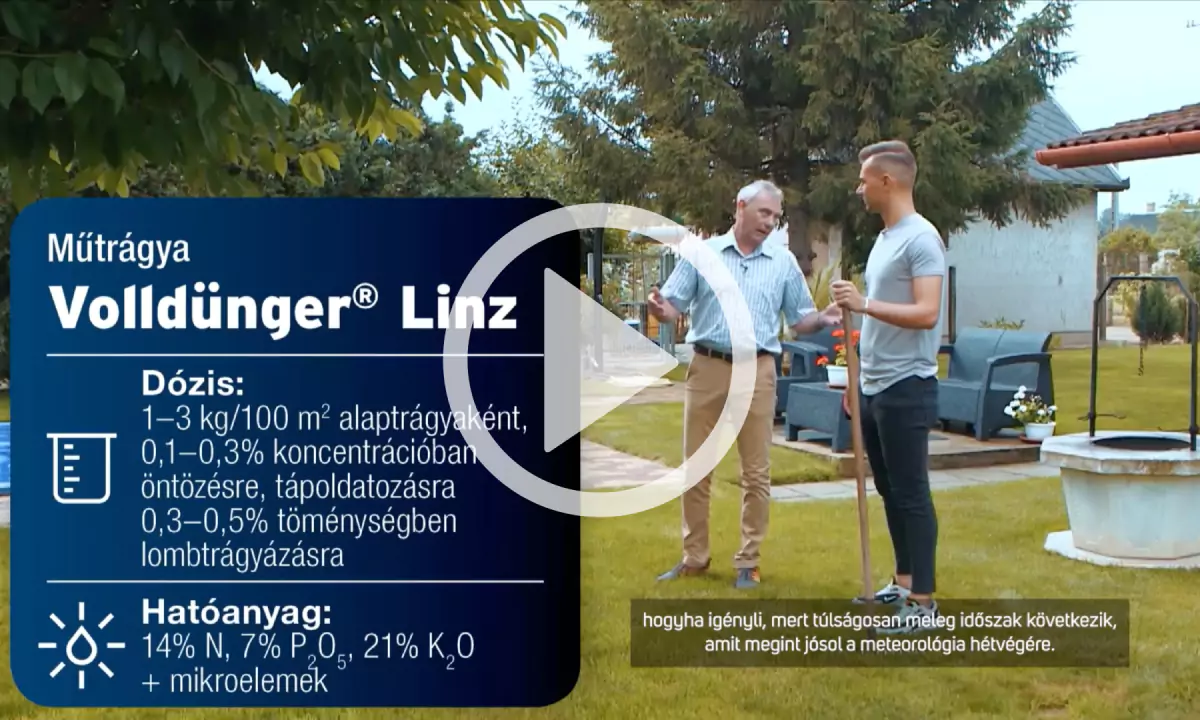 service illustration